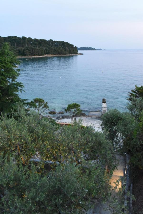 Buric House - M Suite - 95M2 And 54 M2 Terrace Rovinj Exterior foto